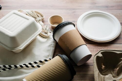 biodegradable food containers