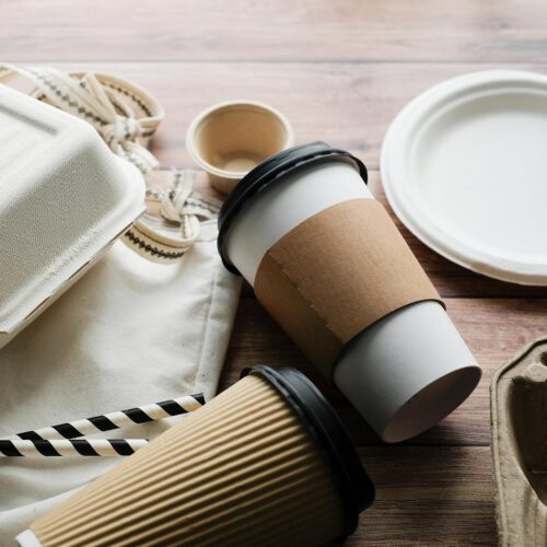biodegradable food containers