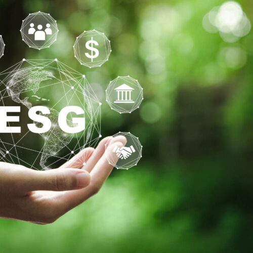 ESG icon