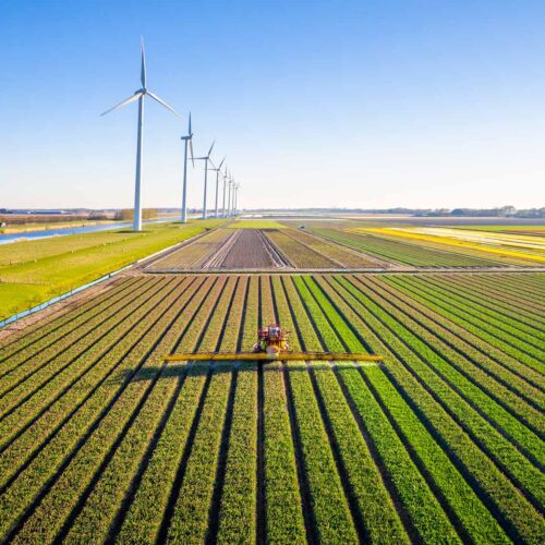 farmlands