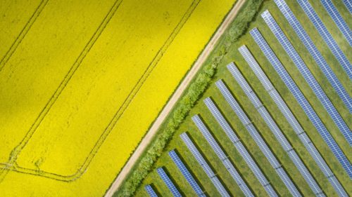 yellow fields and solar panel arrays