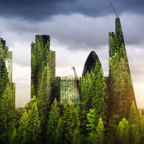green skylines