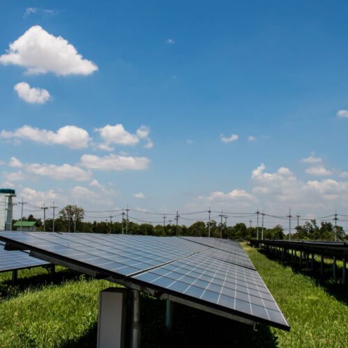 solar field array on a sunny day