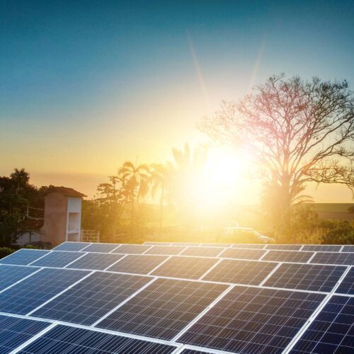 solar panels with sun glare