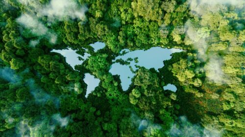 world map over a forest
