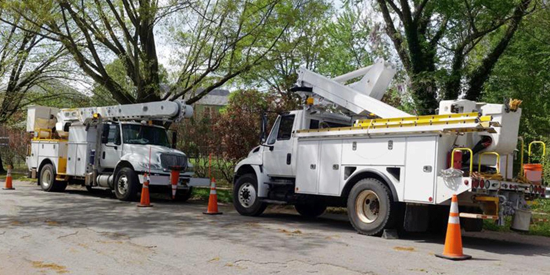 Two utility trucks parked on the side of the road surrounded by traffic cones.